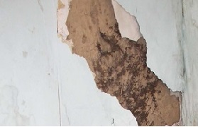 Penetrating damp